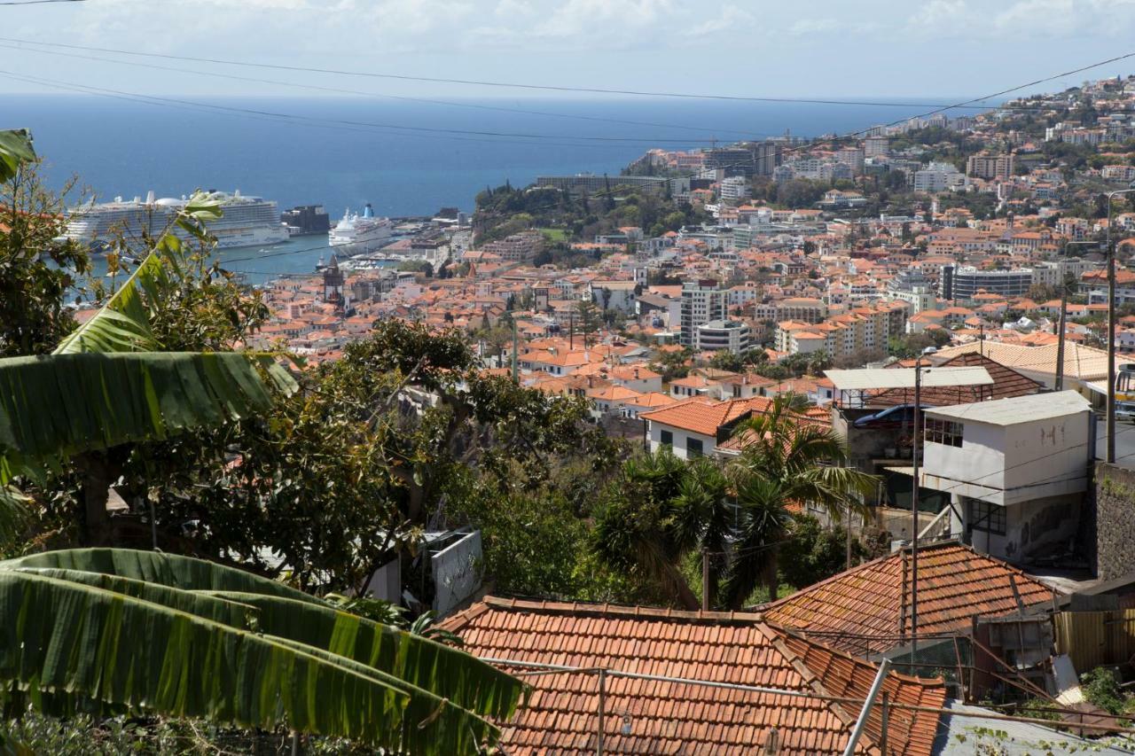 Rochinha Cozy Home Funchal  Exterior photo